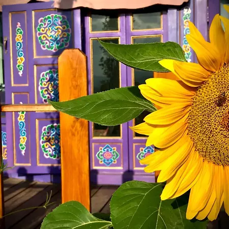 Exclusive Nirvana Yurts Glamping *