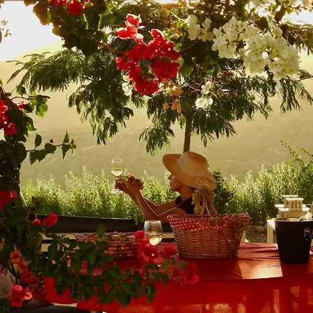 Campo de lujo Exclusive Nirvana Yurts Glamping Kato Drys