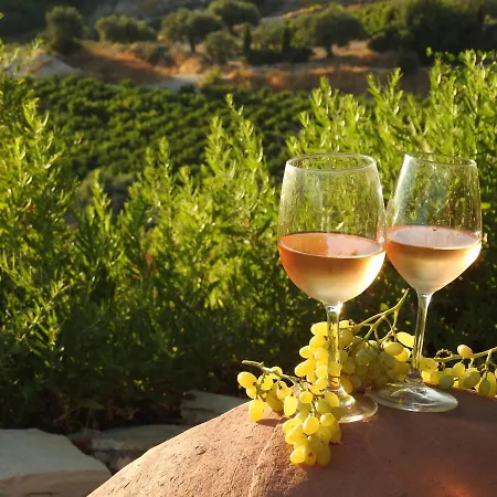 Exclusive Nirvana Yurts Glamping Campo de lujo *